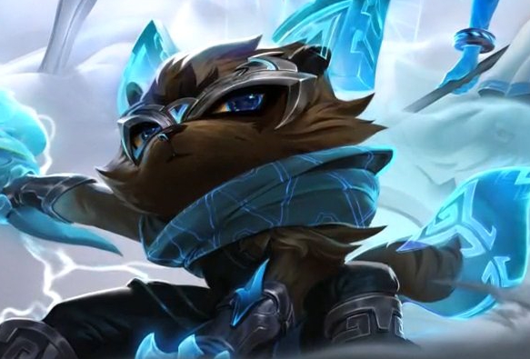 他不追随热 他不追随热